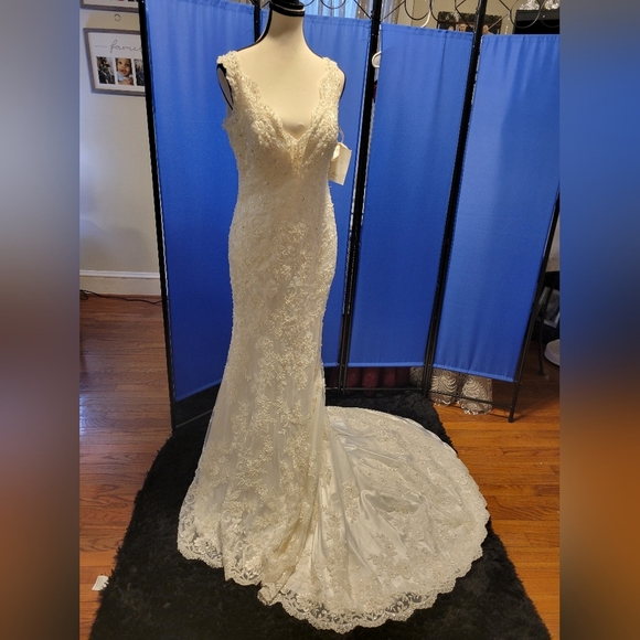 Elegant  Ivory Wedding Dress - Picture 15 of 17